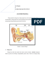Anatomi Telinga Suci.docx