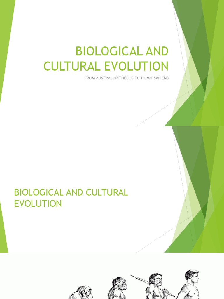 Evolution from Australopithecus to Homo | PDF | Homo | Neanderthal