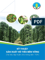 Ky Thuat Trong Cay Ho Tieu PDF