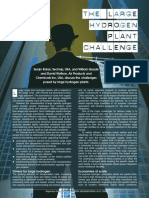 FINAL_Large_H2_Plt_Challenge.pdf