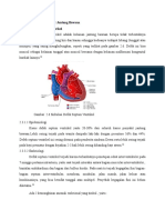 Perbaikan Referat VSD