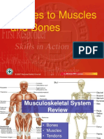 Injuries To Muscles and Bones