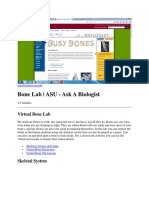 Bone Lab - ASU - Ask A Biologist