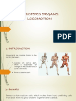 Effectors Organs: Locomotion