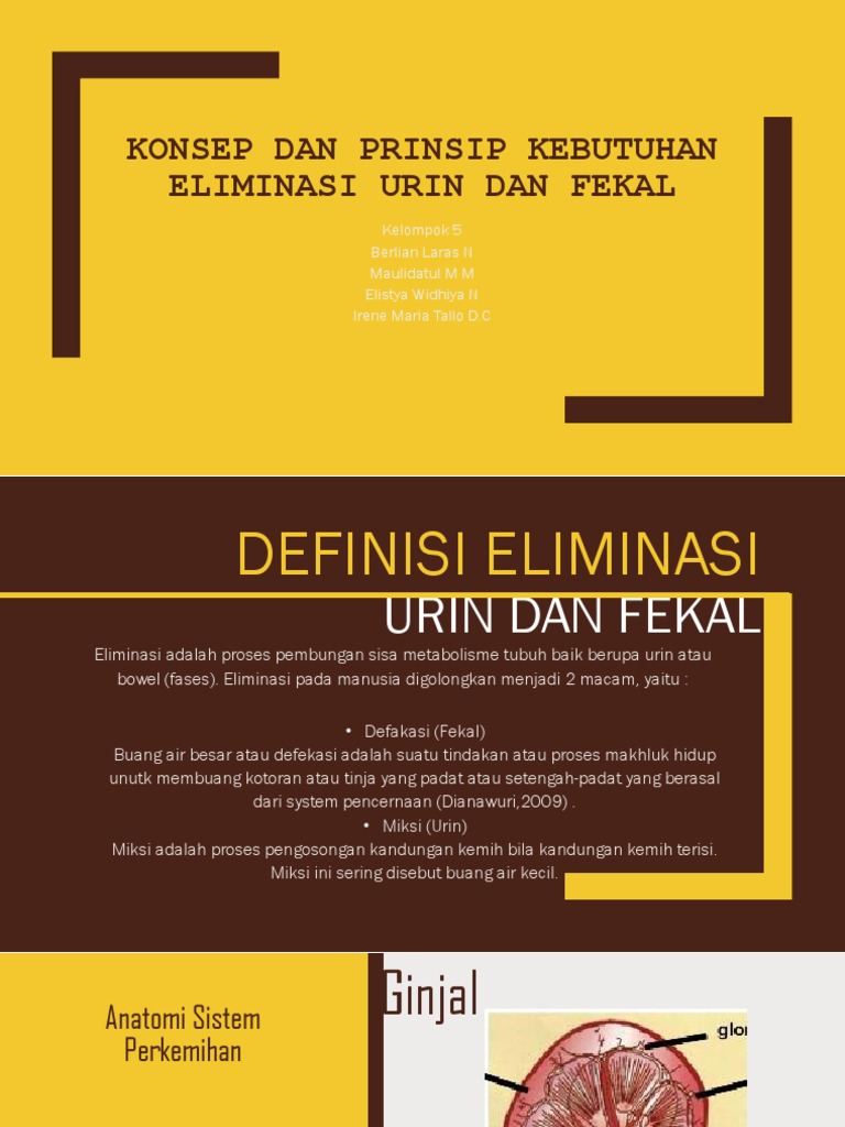 Konsep Dasar Eliminasi Fekal [Bowel] – MYCQVJ