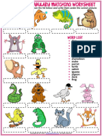 Pets Vocabulary Esl Matching Exercise Worksheet For Kids