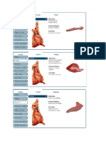 Cortes carnicos posterior.doc