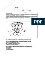 Prueba Ciencias Cuerpo Humano