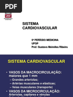 patologia do sistema cardiovascular I.pptx