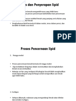 Proses Dan Penyerapan Lipid