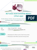 Mitosis Akar Bawang Merah (Allium Cepa)