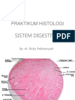 Histologi Sist. Digestiva