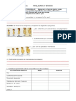 Guía de Ciencias 6°