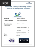 volka Market Segmentation (Repaired).docx