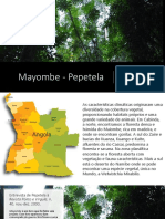 Mayombe - Pepetela