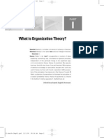 What Is Organization Theory