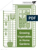26554950 Growing Vegetables in Home Gardens
