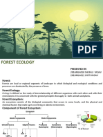 Forest Ecology Presentation