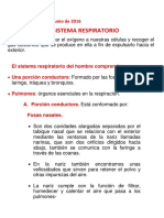 EL SISTEMA RESPIRATORIO.docx