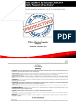 PDD NDS 2016-2019 PDF