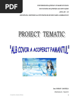 ALB COVORproiectematic