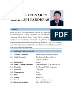 CV Berrospi Cardenas Rafael Leonardo