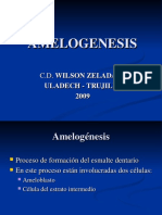 13841557-Amelogenesis.pdf