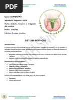 Sistema nervioso e irrigación del cerebro.pdf