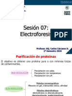 Sesion 07 Electroforesis 2S2018
