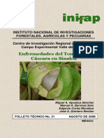 Enfermedades Del Tomate de Cascara en Sinaloa PDF