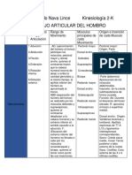 Tabla Del Complejo Articular Del Hombro PDF