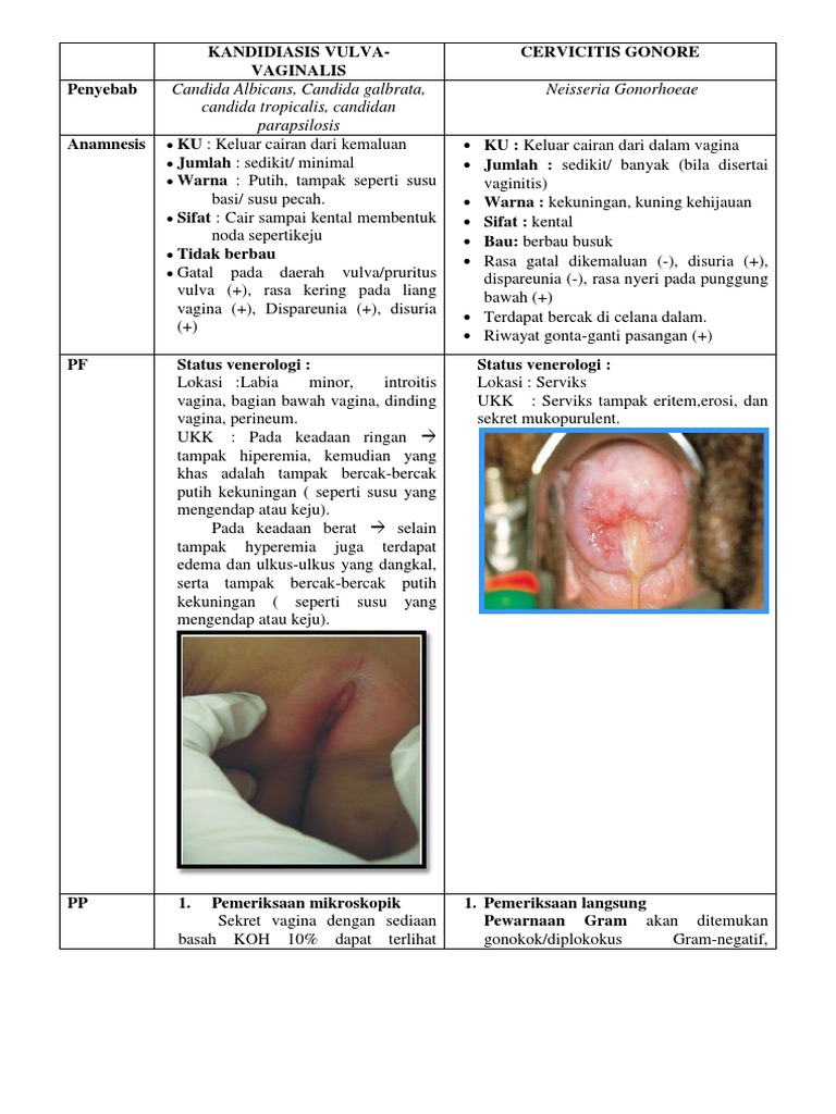 Valeriya Koreva blowjob