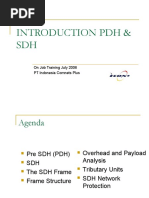 Introduction PDH & SDH: On Job Training July 2006 PT Indonesia Comnets Plus