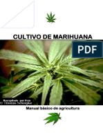 Cultivo mariguana.pdf