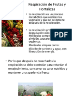 Respiracion en Frutas y Hortalizas Poscosecha