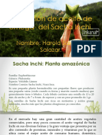 Actividad 2, Cultivo Hidroponico