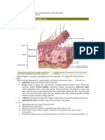 Anatomy Skin & Appandages, Pruritus Mechanism