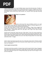 Download penyakit pada kucing by pyrokinesis SN40551863 doc pdf
