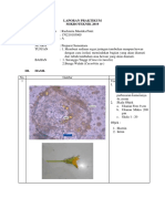 Laporan Praktikum Mikroteknik 2