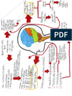 Mapa conceptual 