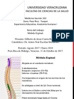 Médula Espinal y Bulbo Raquídeo. Gilberto Careta. Sección 201.
