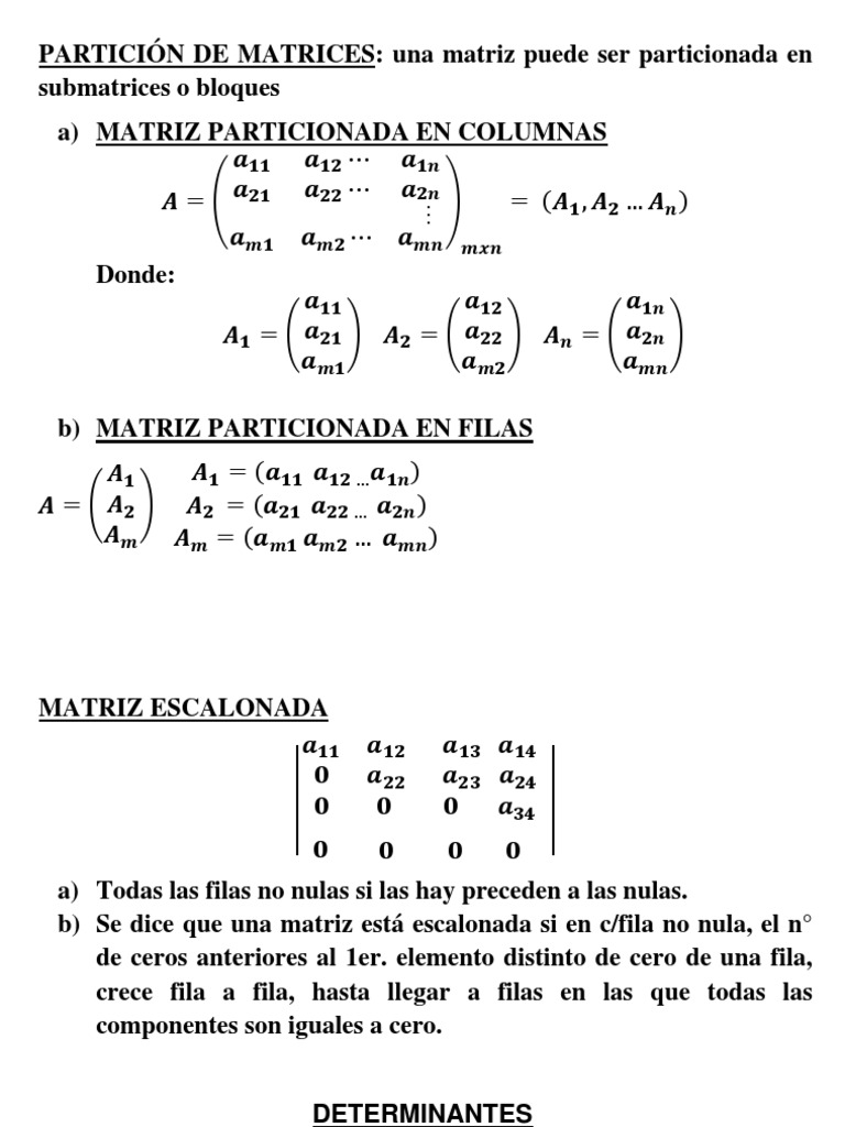 Determinantes y Matrices Particionadas | PDF | Determinante | Matriz ...