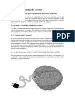 100 Curiosidades Del Cerebro