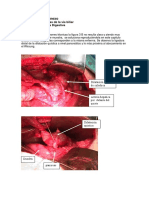 PE FII - Neonatología - Online