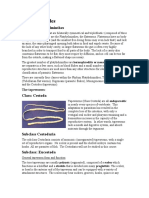 Introduction To Biotechnology and Genetic Engineering Infinity 2008