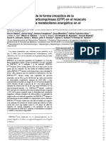 PEPCK in Skeletal Muscle Mice - HAKIMI 2017.en - Es