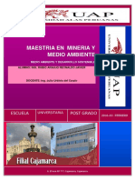 MAESTRIA EN  MINERIA Y MEDIO AMBIENTE.docx_01.docx