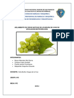 Aislamiento de cepas nativas de levadura Saccharomyces cerevisiae de uvas Italia para aplicación biotecnológica