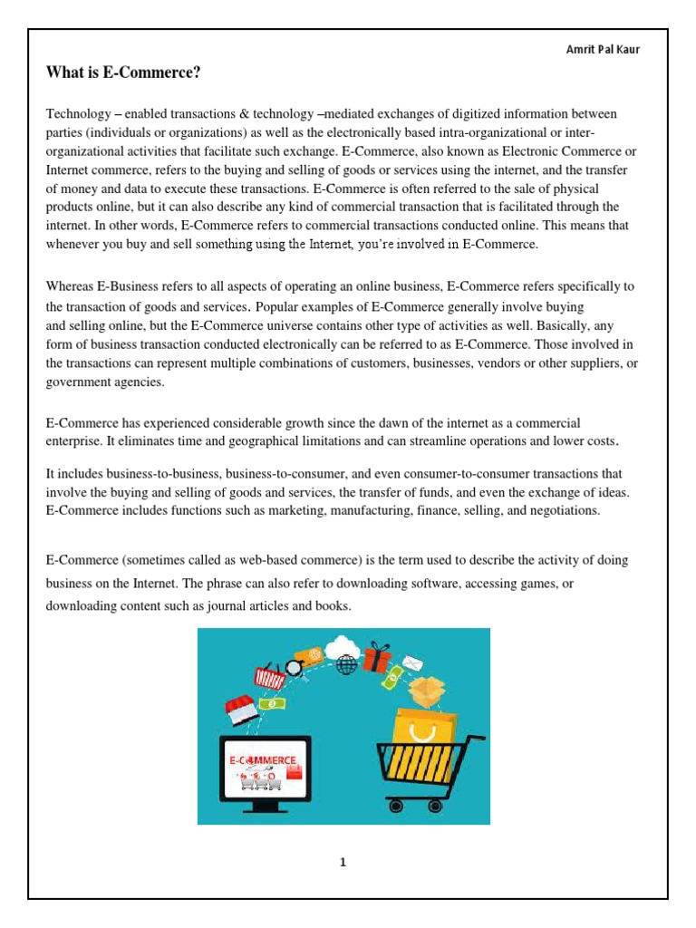 E-Commerce File, Amritpal, 6th Sem | PDF | E Commerce | Online Shopping
