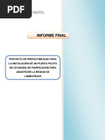 PROYECTO DE PREFACTIBILIDAD PARA LA INSTALACIÓN DE UN PLANTA PILOTO DE LEVADURA DE PANIFICACIÓN P.docx